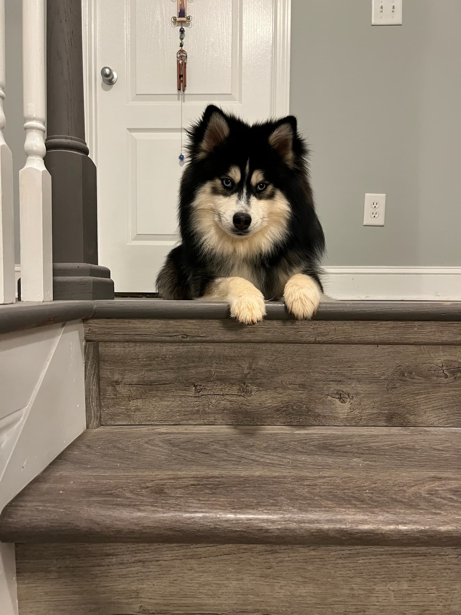 Duke photo