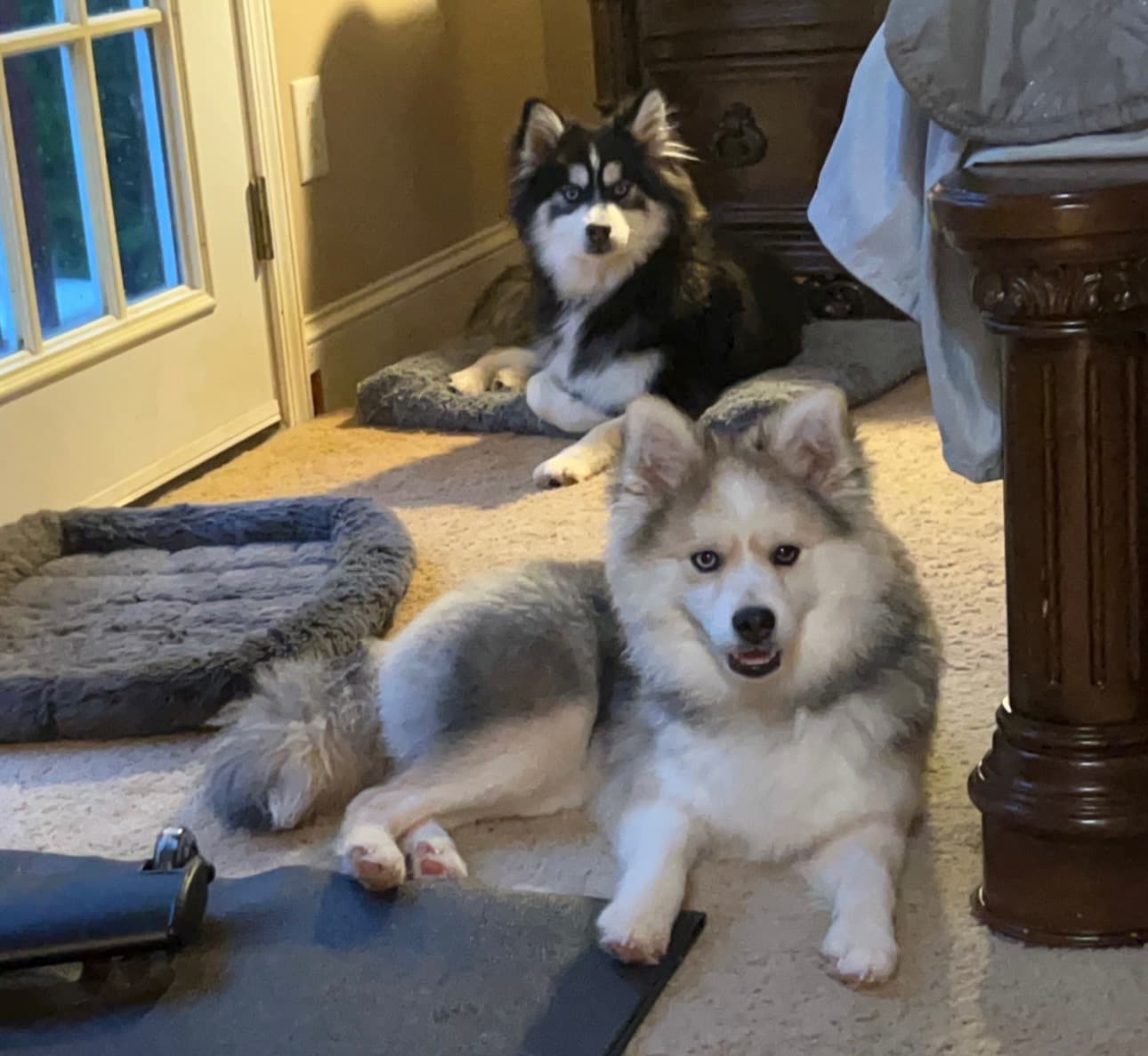 Cuddle time indoors
