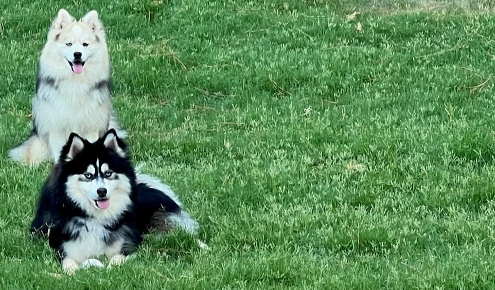 Profile of Duke
