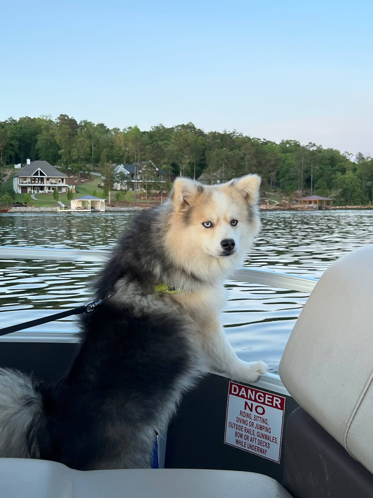 Boat day on Jackson Lake with Winston